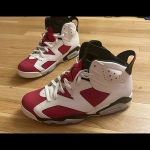 Size 11 - Jordan 6 Retro Carmine 2021